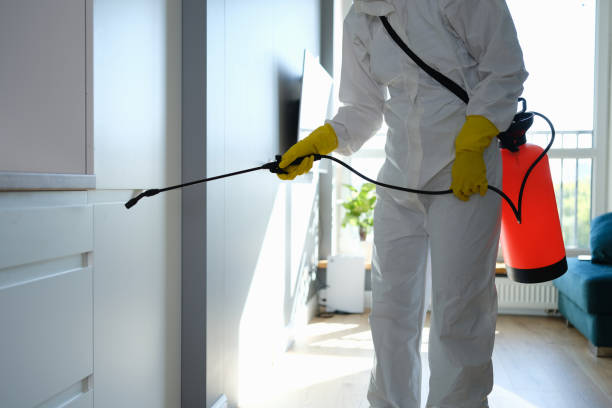 Best Professional Mold Removal  in Apopka, FL